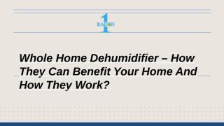 Everything You Need to Know About a Whole Home Dehumidifier.pptx