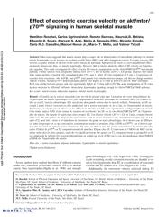 Roschel - Effect of eccentric exercise velocity on akt-mtor-p70s6k signalling in human skeletal muscle.pdf
