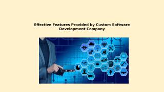 Effective Features Provided by Custom Software Development.pptx