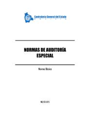 new norms_audit_especial.pdf
